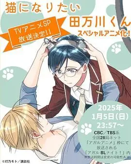 《想变成猫的田万川君》：少年奇幻变身记，寻找自我与爱的治愈系动画